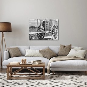 Obraz - Prívesný vozík, čiernobiela (70x50 cm)