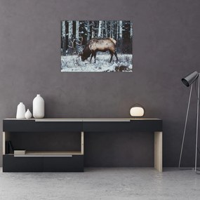 Obraz - jeleň v zime (70x50 cm)