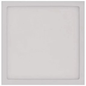 LED Stropné svietidlo LED/12,5W/230V 3000/3500/4000K 17x17 cm biela