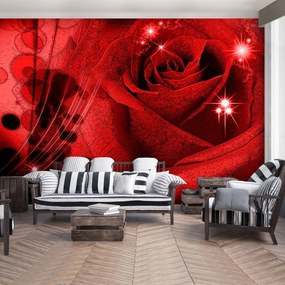 Fototapeta - Červená ruža (254x184 cm)