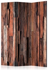 Artgeist Paraván - Honey Boards [Room Dividers]