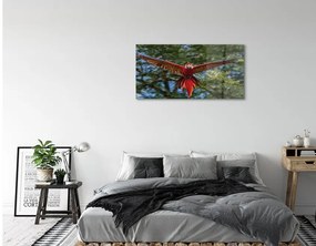Sklenený obraz ara papagáj 125x50 cm
