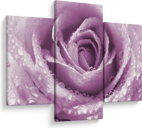 Obraz detailu kvetu ruže (90x60 cm)