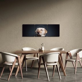 Obraz labradora (s hodinami) (90x30 cm)