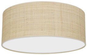 Stropné svietidlo MARSHALL 2xE27/60W/230V