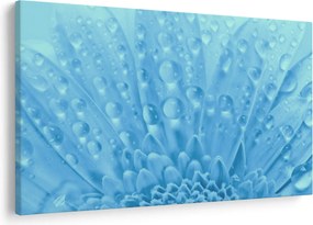 Obraz - Makro záber kvetu (90x60 cm)