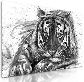 Obraz maľovaný bengálsky tiger v čiernobielom prevedení