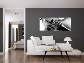 Obraz - Husle (120x50 cm)
