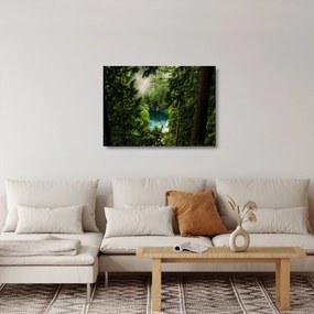 Sklenený obraz - Priezor medzi stromami (70x50 cm)
