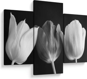 Obraz - Čiernobiele kvety tulipánov (90x60 cm)
