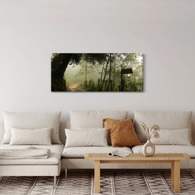 Obraz rannej hmly (120x50 cm)