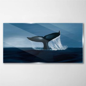 Skleneny obraz Veľryba zvierat mora