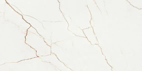 Dlažba Quantum Natural 60x120 R