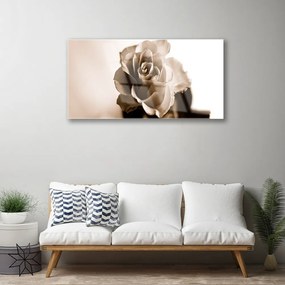 Obraz na skle Ruže kvet 125x50 cm