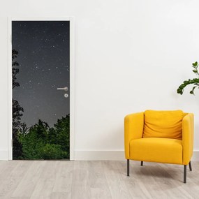 Fototapeta na dvere - Nočná obloha (95x205cm)