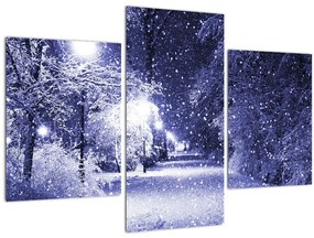 Obraz - Čarovná zimná noc (90x60 cm)