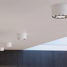 Stropné LED svietidlo Dio, 1x LED 10w, 4000k, w