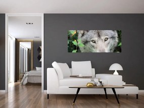 Obraz - Portrét vlka (120x50 cm)