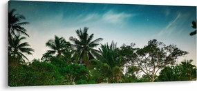 Obraz - palmy (120x50 cm)