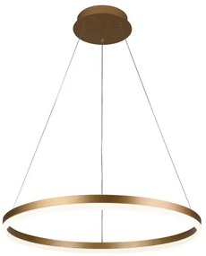 Brilagi - LED Stmievateľný luster na lanku CIRCLE LED/42W/230V 3000-6500K + DO