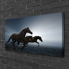 Obraz na plátne Kone zvieratá 120x60 cm