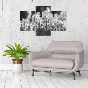 Obraz - Letná lúka (90x60 cm)