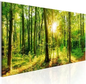 Obraz - Green Magic Veľkosť: 120x40, Verzia: Premium Print