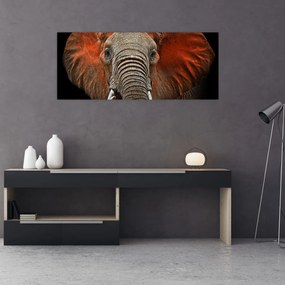 Obraz - Slony z Tsavo (120x50 cm)