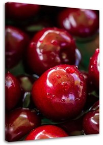 Obraz na plátně Třešně Ovoce Červená - 40x60 cm