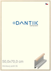 DANTIK rám na obraz 50x70 | ALU Dýha dub raw (Plexi Čiré)