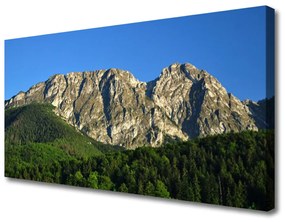 Obraz na plátne Hora les príroda 140x70 cm