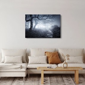 Obraz - Cesta v hmle (90x60 cm)