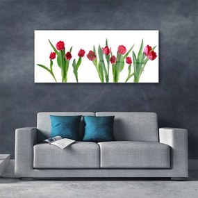 Obraz plexi Tulipány kvety rastlina 125x50 cm