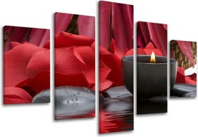 Obraz na stenu 5 dielny FENG SHUI FS040E50