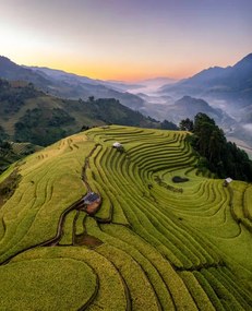 Umelecká fotografie Rice fields on terraced prepare the, Vu Viet Dung, (35 x 40 cm)