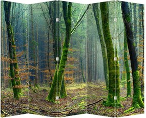 Paraván - Les (210x170 cm)