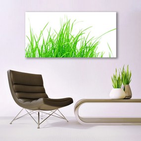 Obraz na akrylátovom skle Tráva 120x60 cm