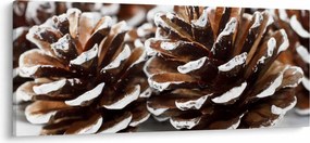 Obraz - Šišky (120x50 cm)