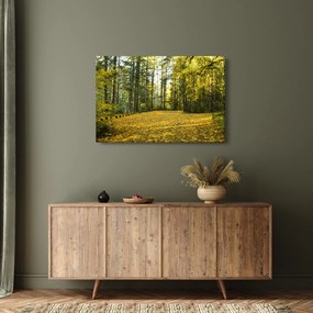 Obraz - les v jeseni (90x60 cm)