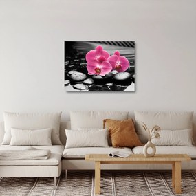 Sklenený obraz - Ružové orchidey (70x50 cm)