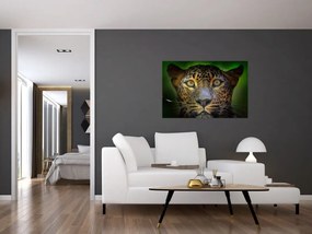 Obraz - Portrét leoparda, Sri Lanka (90x60 cm)