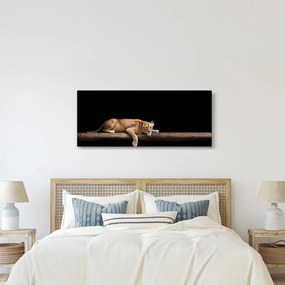 Obraz - Levice (120x50 cm)