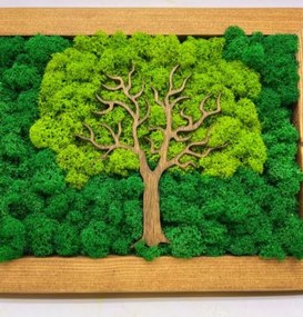 Machový obraz Strom 30x20 cm