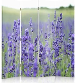 Gario Paraván Pôvab levanduľového poľa Rozmery: 145 x 170 cm, Prevedenie: Klasický paraván