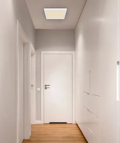 Globo 12380-24W - LED Stropné svietidlo LASSE LED/24W/230V 3000/4000/6500K biela