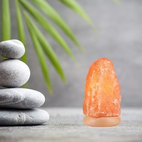 Soľná lampa SALLY 1xE14/25W/230V