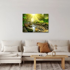 Obraz rieky v zelenom lese (70x50 cm)