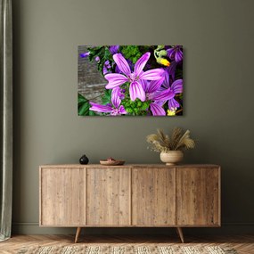 Obraz - lúčne kvety (90x60 cm)