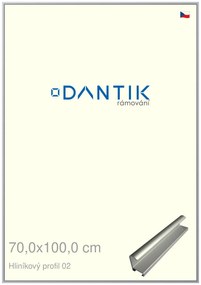 DANTIK rám na obraz 70x100 | ALU Stříbrná matná (Plexi Čiré)