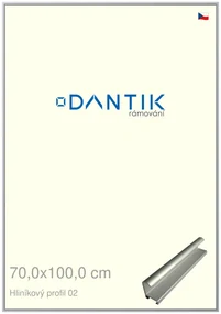 DANTIK rám na obraz 70x100 | ALU Stříbrná matná (Plexi Čiré)
